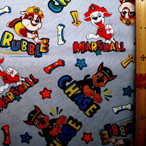 LN^[ AJ A n pEpg[ i Paw Patrol j i O[n ) ԍ20 i 2025 ) V[`O i 100 ) n|108cm USARbg A i pEpg[n pEpg