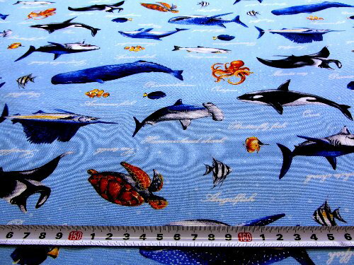 楽天市場 プリント生地 布 かっこいい 海の生き物たち ブルー オックス 綿100 生地幅 約108cm 海 クジラ シャチ サメ イルカ カメ タコ 魚 さかな カッコイイ 男の子 女の子 子供 入園 入学 手芸のピロル