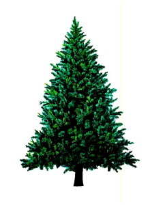 NX}X ^yXg[NX}X c[ i n O[ ) iTCY@c 150cm × 100cm ) y^yXg[zynzyzzyNX}Xnz