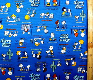 pԂ̂ߎc킸ƂȂ܂ LN^[ n z Xk[s[ i n ) ԍ140 IbNX i 100 ) n|108cm i s[ibc )