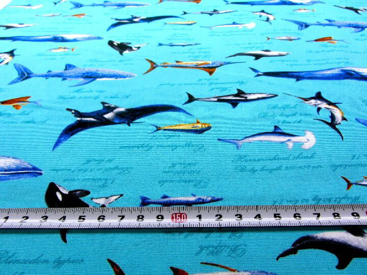 楽天市場 プリント生地 海のギャングたち ブルーグリーン オックス 綿100 生地幅 約110cm 海 ウミ うみ クジラ イルカ ジンベイ サメ マグロ エイ とびうお 魚 サカナさかな カッコイイ かわいい 可愛い 男の子 女の子 子供 入園 入学 手芸のピロル