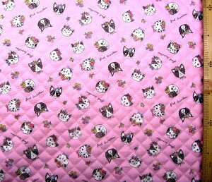 Q- LeBO n@i Lg n j L̉ԏ i sN n ) Lg n|108cm \n|IbNX i L ˂ lR  ͂ u[P Ԋ ͂Ȃނ 킢  ̎q q