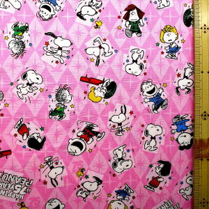 LN^[ n z Xk[s[ i sNn ) ԍ185 i 2025 ) IbNXi 100 ) n|108cm i Xk[s[n Xk[s[ n j