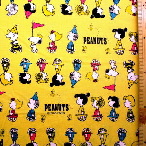 LN^[ n z Xk[s[ i p[h CG[n ) ԍ186 i 2025 ) IbNXi 100 ) n|108cmi Xk[s[n Xk[s[ n j