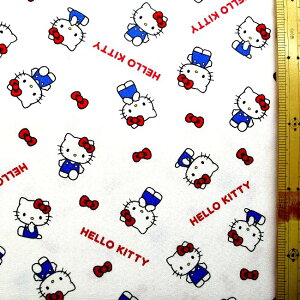 LN^[ n z LeB i x[VbN { ItzCgn ) ԍ303 i 2026 ) IbNX i 100 ) n|108cm ( LeBn LeB n n[LeB LeB TI 