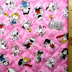 Q- LeBO n z Xk[s[ i sNn ) ԍ185 i 2025 ) LeBOn Lg n-105cm \n-IbNXi 100 ) (Xk[s[n Xk[s[ n s[ibc )