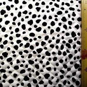 Q- LeBO ni Lg n j _VA i ItzCg n ) Lg n|105cm \n|cC 100 ( IbNXn߂̐nł ) i _VAn _