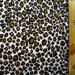 Q- LeBO ni Lg n j Ip[h ( qE ji  n ) Lg n|105cm \n|cC 100 ( IbNXn߂̐nł ) i qEn qE 