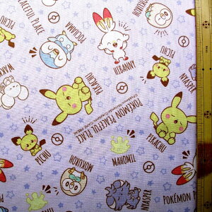 LN^[ n z |Ps[X i |PbgX^[ ) i p[vn ) ԍ138i 2025 ) IbNX i 100 ) n|108cm i|Pn |P n |P s[X s[Xt |
