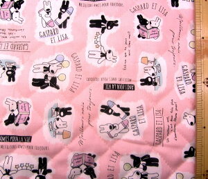 pԂ̂ߎc킸ƂȂ܂ Q- LeBO n z TƃKXp[ i sNn ) ԍ24 LeBOn Lg n|106cm \n|IbNX i 100 ) ( TKX 