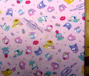 pԂ̂ߎc킸ƂȂ܂ LN^[ n z TI LN^[Yi _Ci\[ ) i sNn ) ԍ50 IbNX i 100 ) n|108cm ( TI LN^