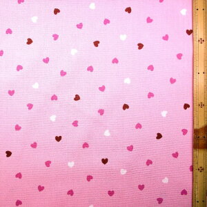 vgn pXe n[gi sNn ) IbNXi100jn|108cm i n[g ́[ pXe 킢  j̎q ̎q q  w )