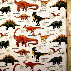 vgn z  X^[i n ) IbNXi 100 jn|108cm i 傤イ gPgvX eBmUEX  ق JbRCC 킢 j̎q q  w )