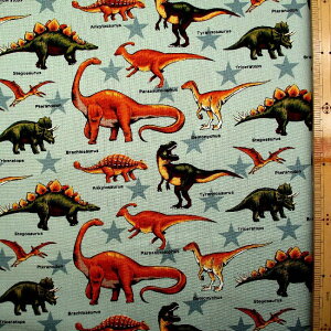 c킸łipԂɂȂ܂j vgn z  X^[i u[O[n ) IbNXi 100 jn|108cm i 傤イ gPgvX eBmUEX  ق 