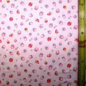 vgn z Xgx[ t[i sNn ) ԍ2 IbNXi 100 jn|108cm i  C`S ԕ XEB[c  킢 ̎q q  w )