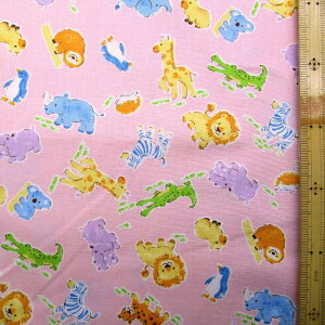 vgn z i sNn ) IbNXi 100 jn|108cm i  ǂԂ Aj}   CI L j Jo V}E} RA yM  JbRCC 