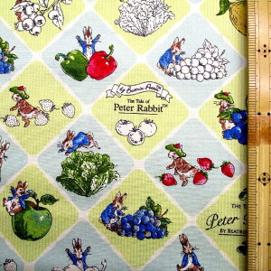 c킸łipԂɂȂ܂j LN^[ n s[^[rbgi t[cxW [^C[ ) i O[n ) ԍ10 IbNXi 100 j n|110cm i s[^[