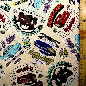 ~l[g n LN^[ J[Y i Cars )i ZN[n ) ԍ45 i 2024 - 2025 ) NtgV[Y ( fBYj[ }bNB[ ) rj[R[eBO n y ×@ł̊ې􂢕s 