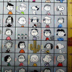 h݂̍݌ɂȂȂΎזhLN^[ n z Xk[s[ i O[n ) ԍ180 i 2025 ) IbNX i 100 ) n|108cm i Xk[s[n Xk[s[ n j