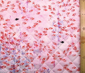 Q- LeBO n z XC~[ i sNn ) ԍ3 LeBOn Lg n|102cm \n|V[`O ( ȂȂ̂͂Ȃ I Ij )