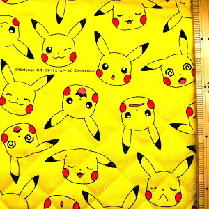 Q- LeBO n z |PbgX^[i |P ) i CG[n ) ԍ134 LeBOn Lg n-106cm \n-IbNXi 100 ) ( |Pn |P n sJ`