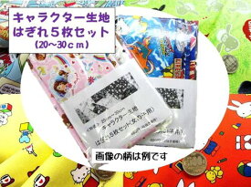 キャラクター生地 20センチ～30センチの キャラクター 生地 の はぎれ 5枚セット （柄は一切指定できませんのでお楽しみとなります) ( キャラクター生地 福袋 布 ハギレ ) 【2セットまでメール便 （ ゆうパケット ) OK】