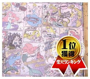 LN^[ n fBYj[vZX i N[ ) ԍ54( fBYj[ vZXn vZX n@)