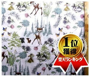 LN^[ AJ A n ori It ) ԍ16 V[`Oi100jn|108cm( USARbg AJ An fBYj[ )