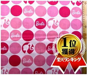 LN^[ AJ A n o[r[i ʕ ItnɃsN ) ԍ2V[`O i 100 ) n|108cm USARbg A ( o[r[ Barbie )