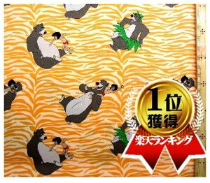 LN^[ AJ A n WO ubN i IW ) ԍ2y fBYj[ z USARbg A