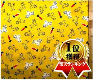 LN^[ n z ~btB[ i CG[ F n )ԍ36V[`O i 100 ) n|104cm i ~btB[n ~btB[ n ~tB[ ~BtB[@ fBbN u[i )