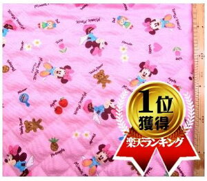 h݂̍݌ɂȂȂΎזhQ- LeBO n z ~j[}EX i sN ) 7fBYj[i Lg LeBOn z ̎q j̎q  w j