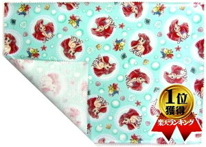  ~l[g n `}bg TCY i 45cm×32cm ) fBYj[vZX i AG )i u[O[n ) ԍ86 i 2022 - 2023 ) NtgV[Y ( fBYj[ vZX ) i