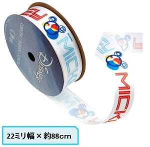 USALN^[ { ~bL[~j[}EX i 22~×88cm ) /S u[ i ~bL[}EX ) yTe { zyA { zy[ i 䂤pPbg ) OKz