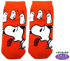 LN^[ \bNX C Xk[s[ i fBX22`24cm ) i ΂ IW )