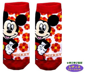 LN^[ \bNX C ~bL[~j[}EX i fBX22`24cm ) i t[ It/ )