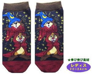 LN^[ \bNX C `bvf[ i fBX22`24cm ) i D23`bvf[ / )