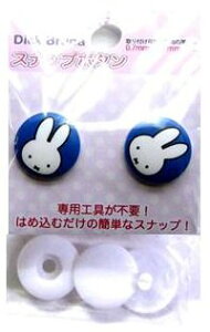 LN^[ Xibv {^ ~btB[ i  ) i 15~ )2 i LN^[ {^ `h{^ `Ch {^ ڂ t  ANZT[  킢 q ǂ 