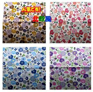  `NX k t[ K[f TCY[43cm×43cm i n k n k ԕ t[ Ԕ `}bg HitL `}bg `NX q ct 