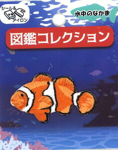 hイ by }ӃRNVi ̂Ȃ ji N}m~ ) 傫 ( { 3×5cm j1 i  j by AbvP AC }[N hJ 킢  q j̎q 