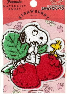 LN^[ hイ by Xk[s[ ( t[cby ) (  ) ( 傫 7.5×7.5cm 1ji s[ibc ) i LN^[ by AbvP AC hJ }[N q