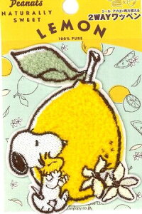 LN^[ hイ by Xk[s[ ( t[cby ) (  ) ( 傫 8.5×6.5cm 1ji s[ibc ) i LN^[ by AbvP AC hJ }[N q