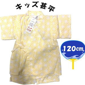  LbYr ނ NX ̗t i CG[n ) 120cm F ̗t a r rq ̎q ǂ q ׂ ׂ p[X 킢 ԉ čՂ  䂩 y[OK