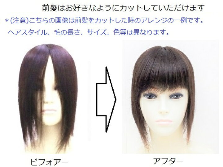 楽天市場】【送料/税込み】人毛100％ 部分カツラ（EM-TP 13cm 