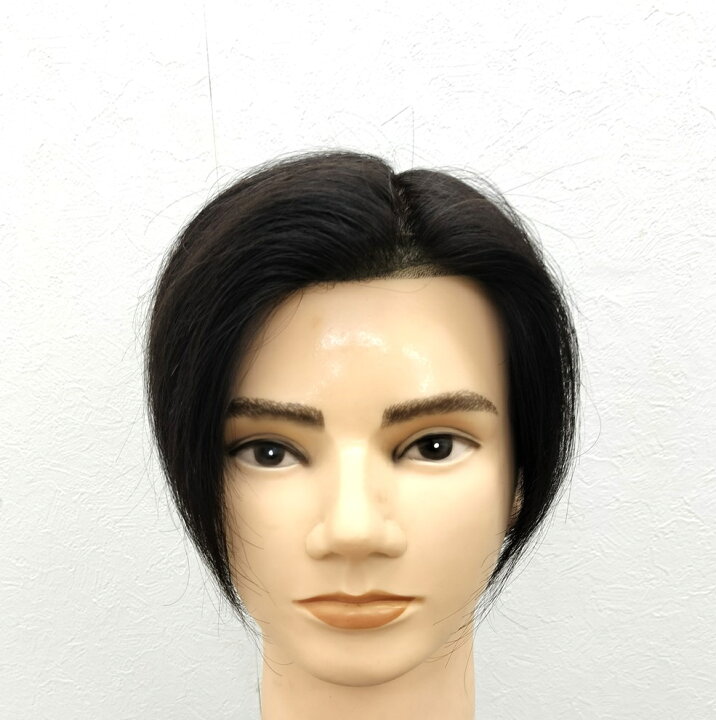 楽天市場】男性用部分かつら 人毛100％ 生え際ナノスキン（EM-wg 