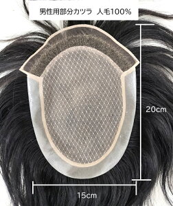 jp@l100 ۃtg[XiEM-wg-lace 15cm×20cm ^Cv i`ubNђ15cm