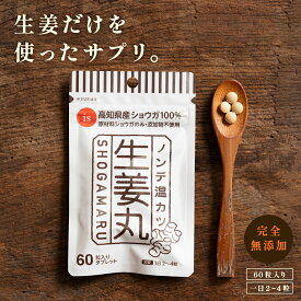＼スーパーSALE限定10%OFF／サプリ しょうが 完全無添加 高知県産 生姜 100%使用 無添加 高品質 サプリメント ノンデ温カツ 生姜丸 ショウガオール 粉末加工 凝縮 温活 健康 抹消体温対策 錠剤 あったか 代謝 健康食品タブレット 小粒 日本製 国内生産 国産