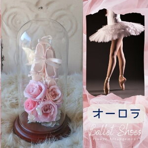 oG v[g gDV[Y ̃KXh[t[AWg iI[  tij\  oG \v[goGV[Y t[AWg a a