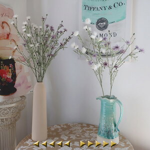  AU~ A[gt[ VNt[ A[eBtBVt[