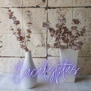 [J iOb^[^CvjtFCNO[  |eBtBVt[A[gt[ VNt[